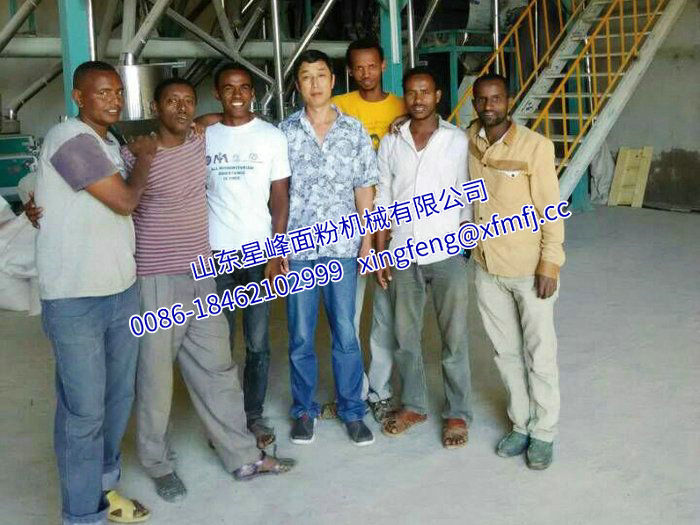 20-60T豆類脫皮、拋光、制仁、制粉成套設(shè)備